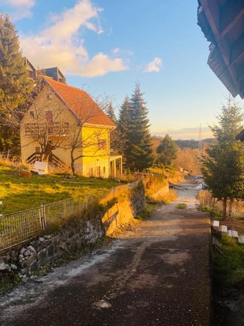 Villa Petra à Kopaonik Extérieur photo